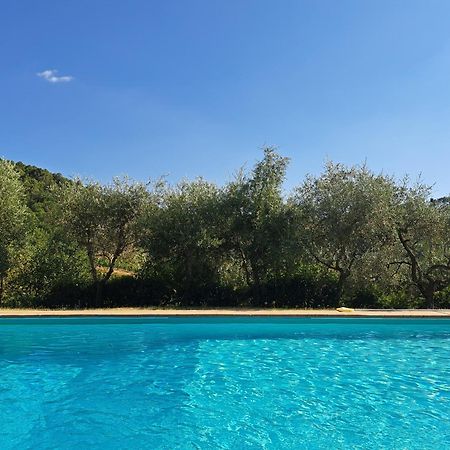 Agriturismo Poggio All'Olmo Villa Greve in Chianti Dış mekan fotoğraf
