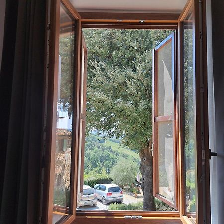 Agriturismo Poggio All'Olmo Villa Greve in Chianti Dış mekan fotoğraf