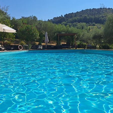 Agriturismo Poggio All'Olmo Villa Greve in Chianti Dış mekan fotoğraf