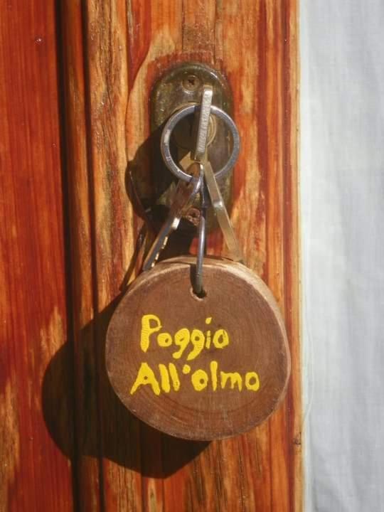 Agriturismo Poggio All'Olmo Villa Greve in Chianti Dış mekan fotoğraf
