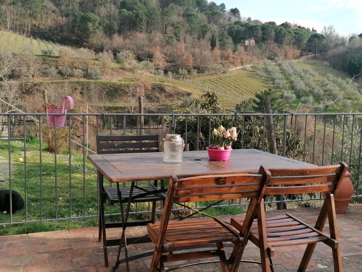 Agriturismo Poggio All'Olmo Villa Greve in Chianti Dış mekan fotoğraf