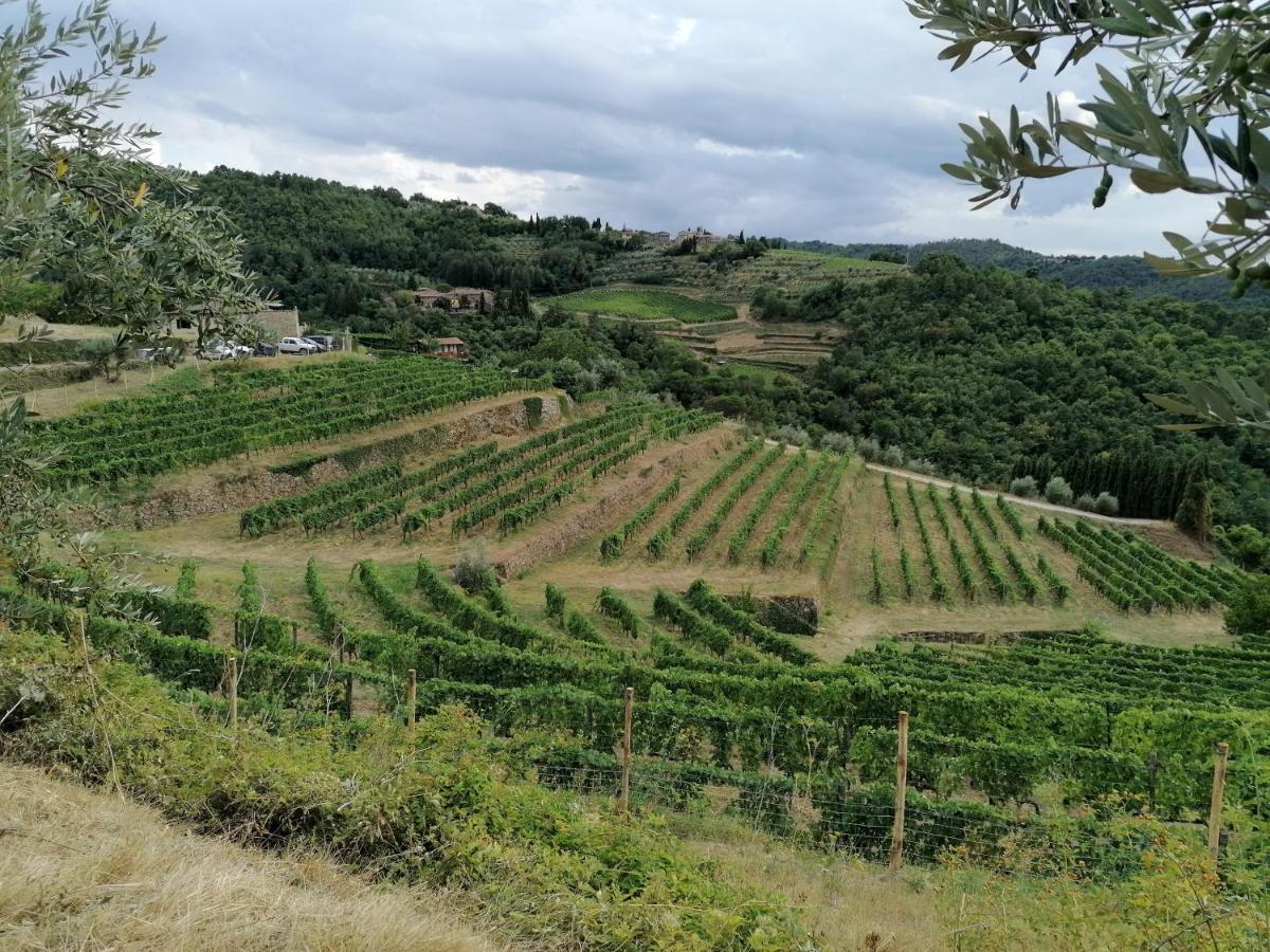 Agriturismo Poggio All'Olmo Villa Greve in Chianti Dış mekan fotoğraf