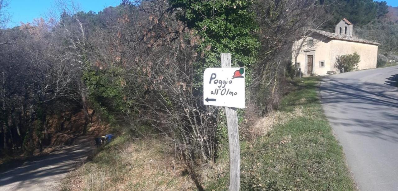 Agriturismo Poggio All'Olmo Villa Greve in Chianti Dış mekan fotoğraf