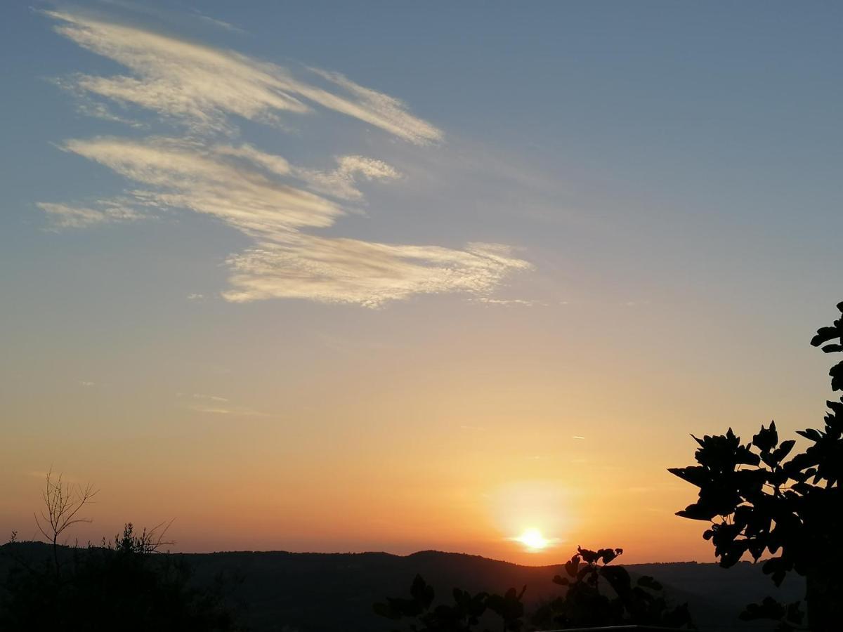 Agriturismo Poggio All'Olmo Villa Greve in Chianti Dış mekan fotoğraf