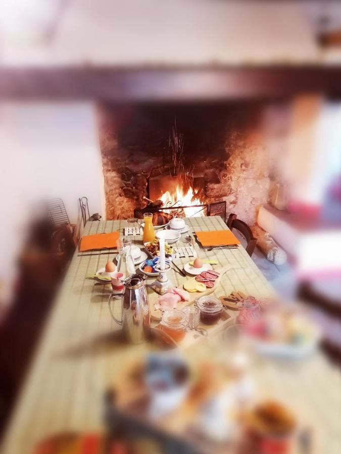 Agriturismo Poggio All'Olmo Villa Greve in Chianti Dış mekan fotoğraf