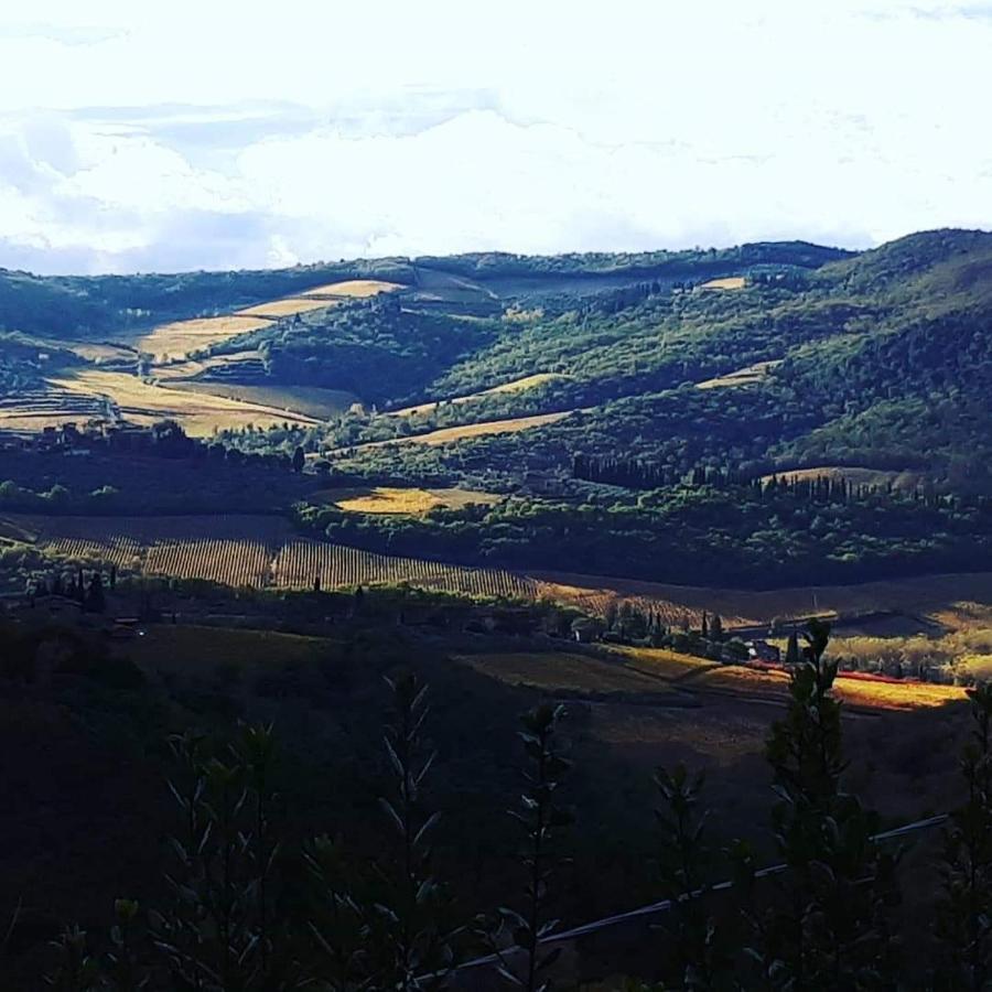 Agriturismo Poggio All'Olmo Villa Greve in Chianti Dış mekan fotoğraf