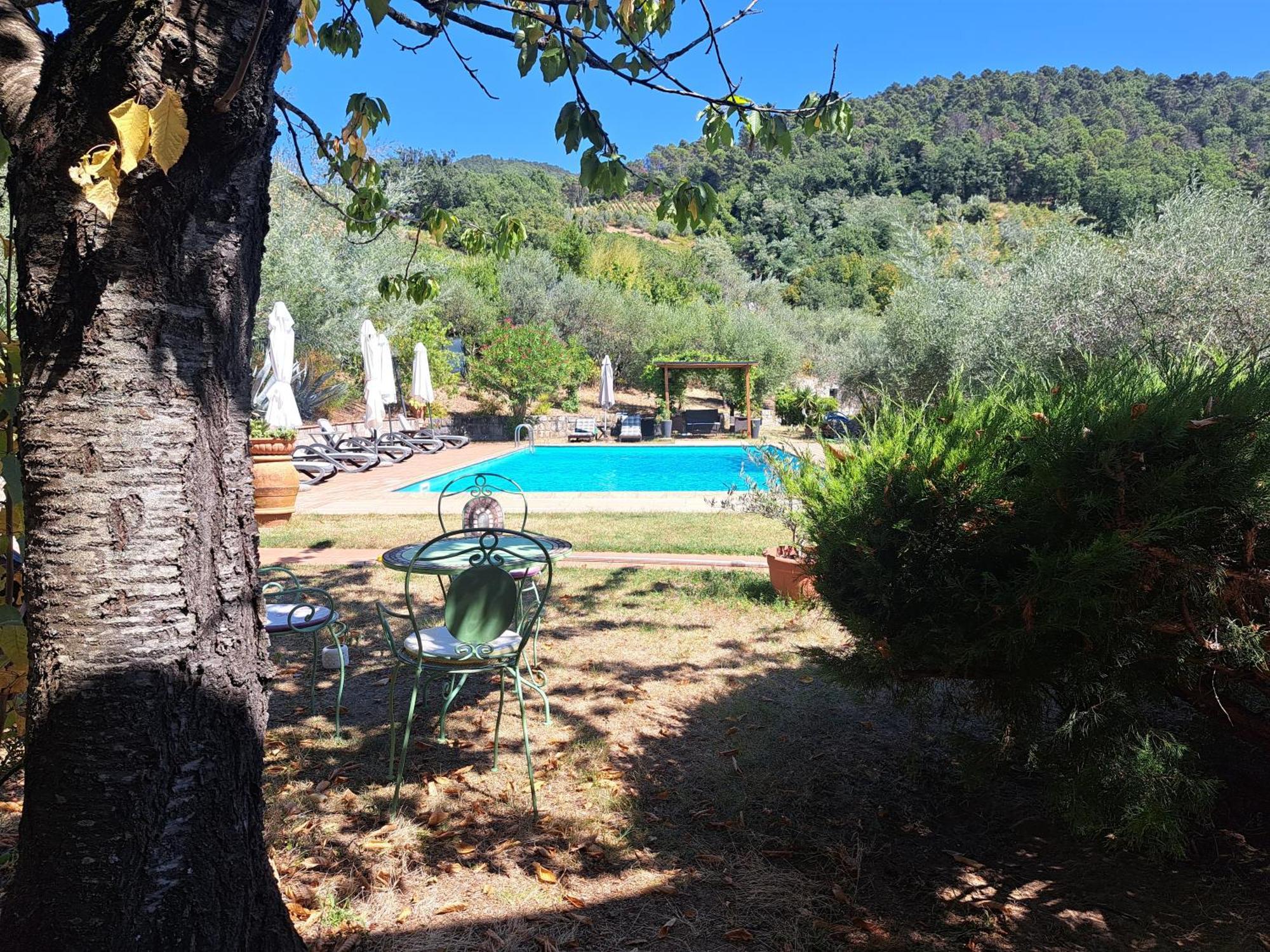 Agriturismo Poggio All'Olmo Villa Greve in Chianti Dış mekan fotoğraf
