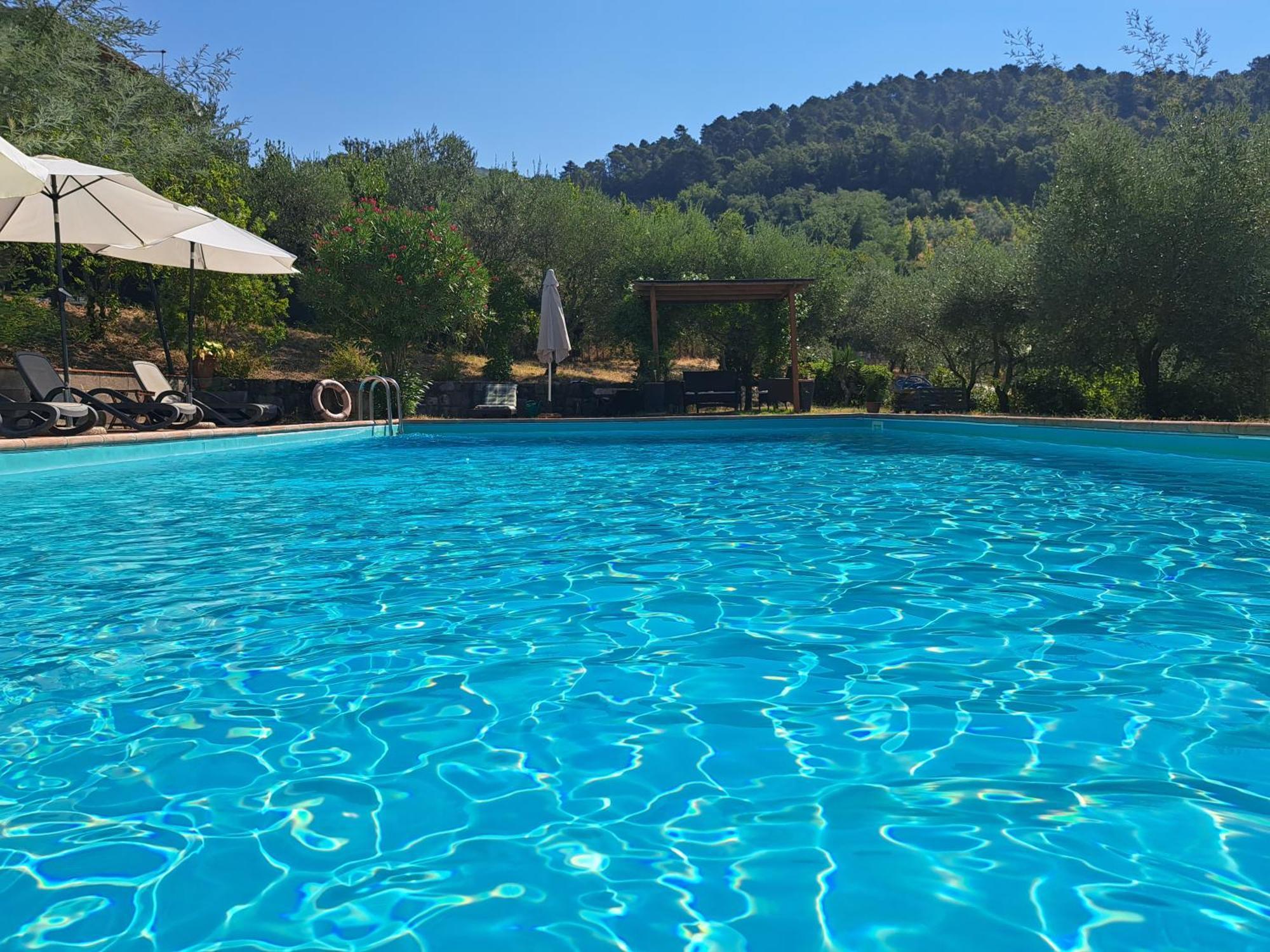 Agriturismo Poggio All'Olmo Villa Greve in Chianti Dış mekan fotoğraf