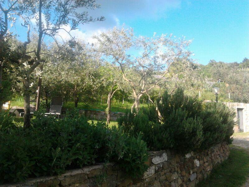Agriturismo Poggio All'Olmo Villa Greve in Chianti Dış mekan fotoğraf