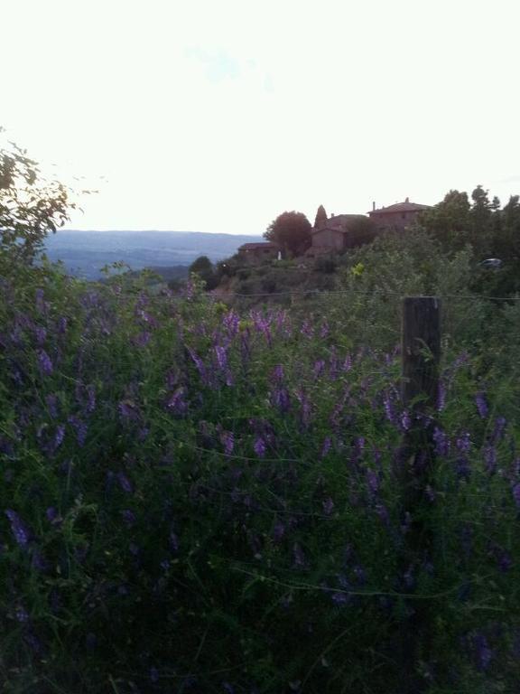Agriturismo Poggio All'Olmo Villa Greve in Chianti Dış mekan fotoğraf