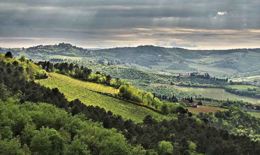 Agriturismo Poggio All'Olmo Villa Greve in Chianti Dış mekan fotoğraf