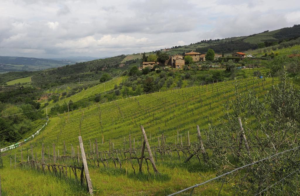 Agriturismo Poggio All'Olmo Villa Greve in Chianti Dış mekan fotoğraf