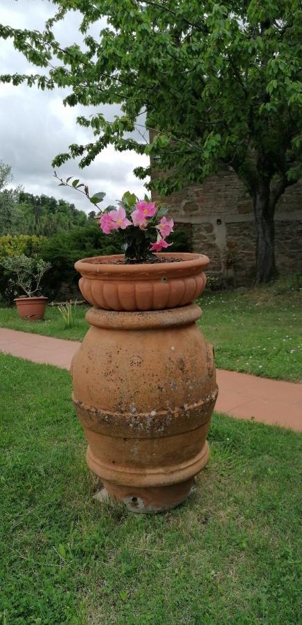 Agriturismo Poggio All'Olmo Villa Greve in Chianti Dış mekan fotoğraf