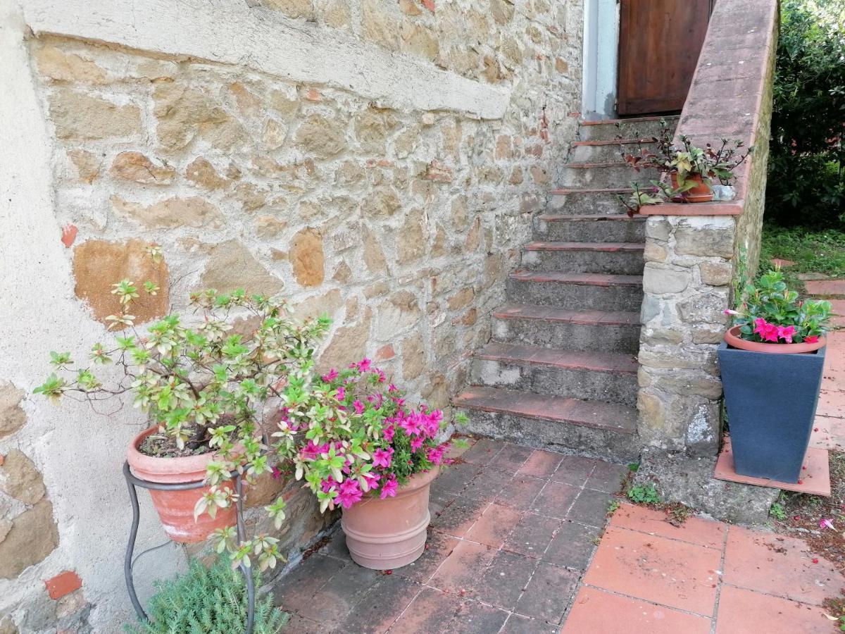 Agriturismo Poggio All'Olmo Villa Greve in Chianti Dış mekan fotoğraf
